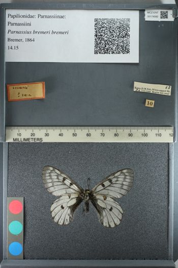 Media type: image;   Entomology 174582